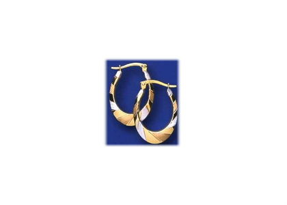 Two Tone Plated | Fashion Earrings